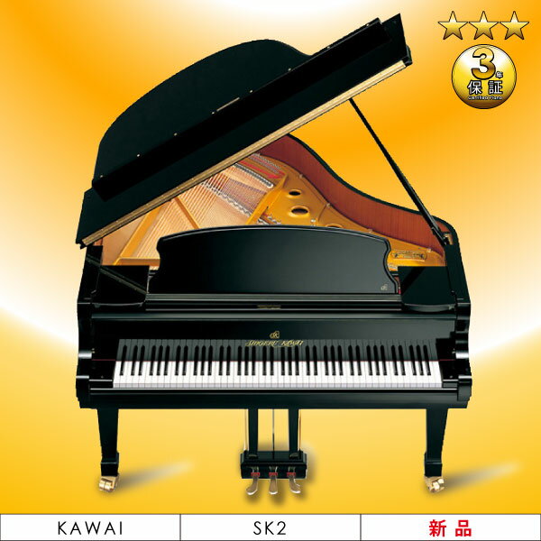 ViOhsAm@KAWAI(JCjSK-2yԌ VisAmLy[z6_Zbg+gm[v[g!!